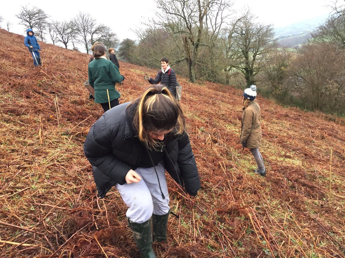 RobPennWildwood's tweet photo. Planting trees with my kids today for @Stumpupfortrees. Truth is - quicker and more effective to plant them all myself, but that’s not the point is it? They will see them mature into magnificent trees. I won’t. The future is theirs. https://t.co/Erf2ZMbrkg