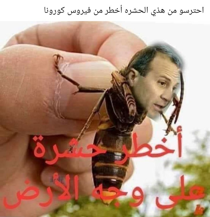 kadr_abdo's tweet photo. @RaymondFHakim https://t.co/Itrgdzm9t0
