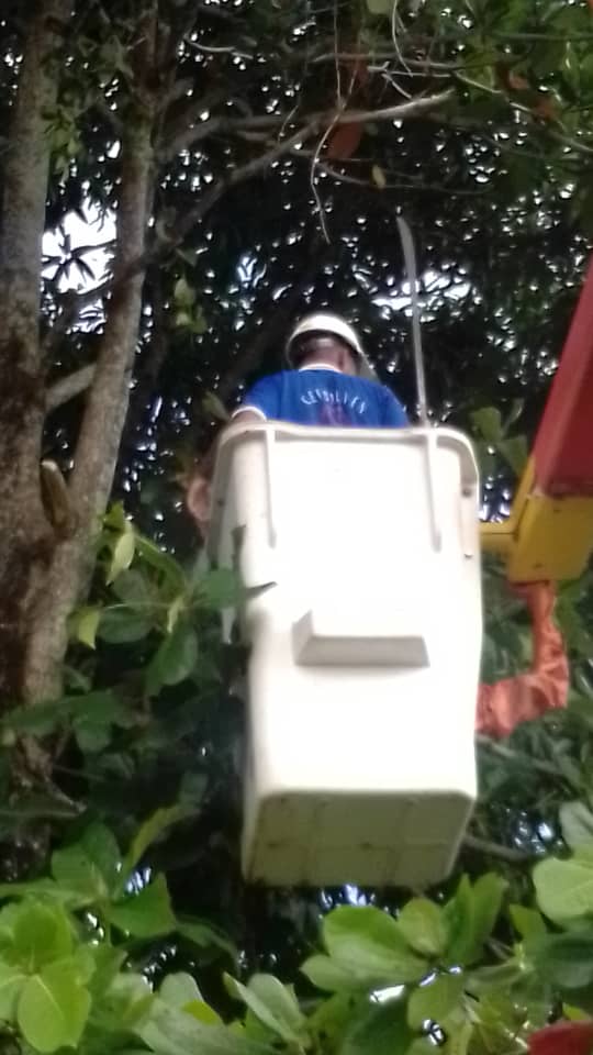 CorpoelecInfo's tweet photo. #HaceMinutos || Culminan con éxito las labores de mantenimiento programado en el circuito Café, municipio Acevedo del estado #Miranda.

¡Corpoelec trabaja para ti! https://t.co/S0LNEbsDJ5