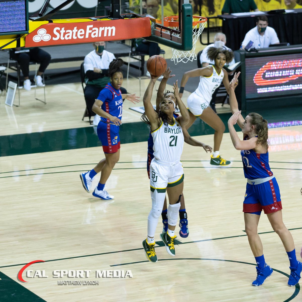 matthewslynch's tweet photo. A few photos from the last home @BaylorWBB game. https://t.co/e7syniNfcY