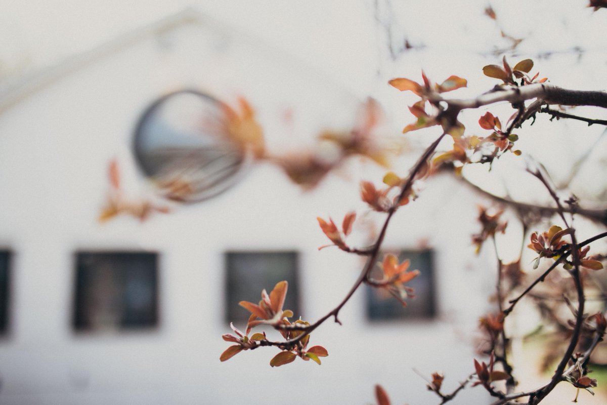 Eeee, I just can't wait until the trees are budding, the flowers are poking through and weddings are starting again! 

Photo Credit: @travis_darnell_

#LionsgateCenter
#StressLessLoveMore