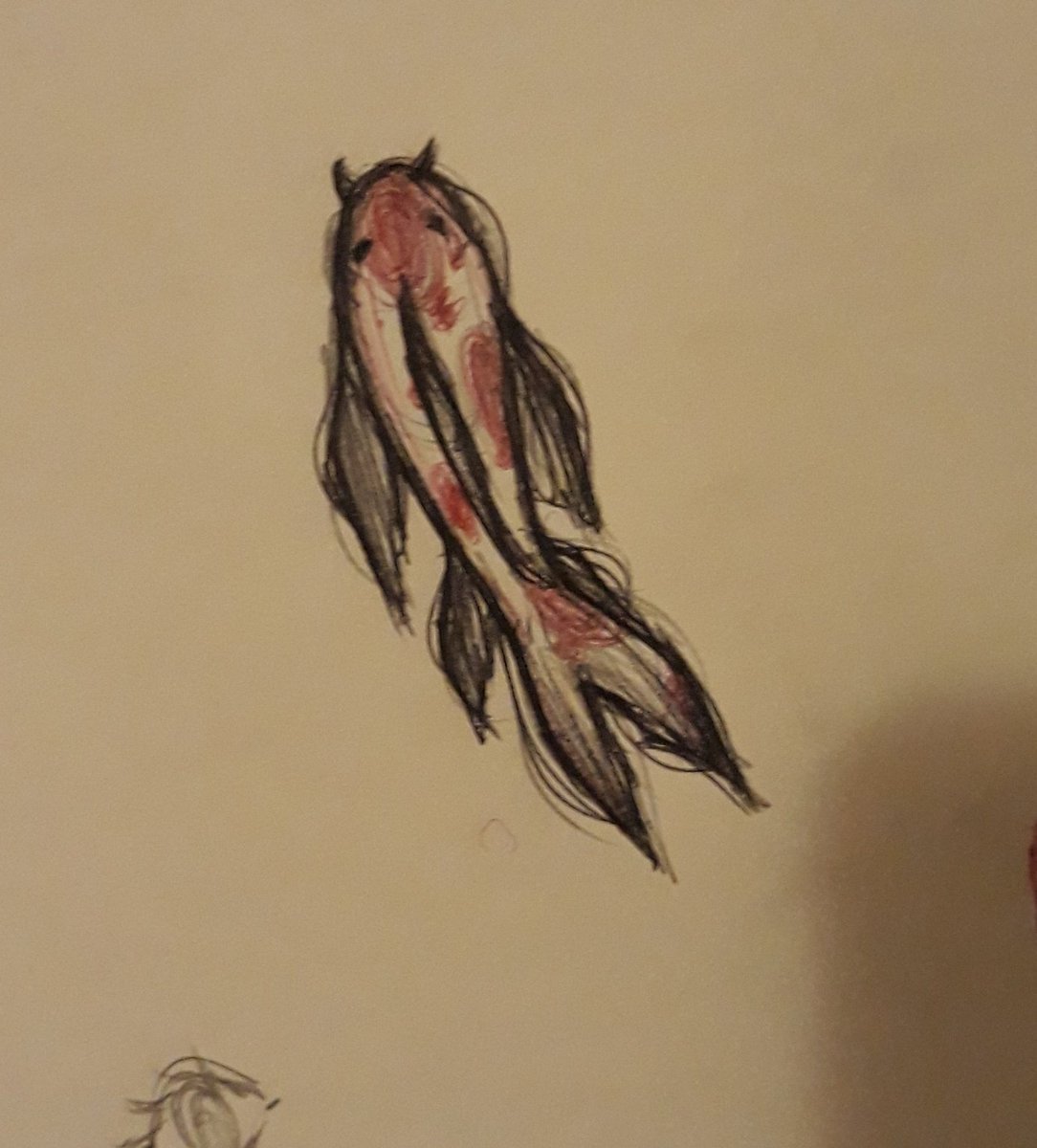 emeli 🩻 tweet media