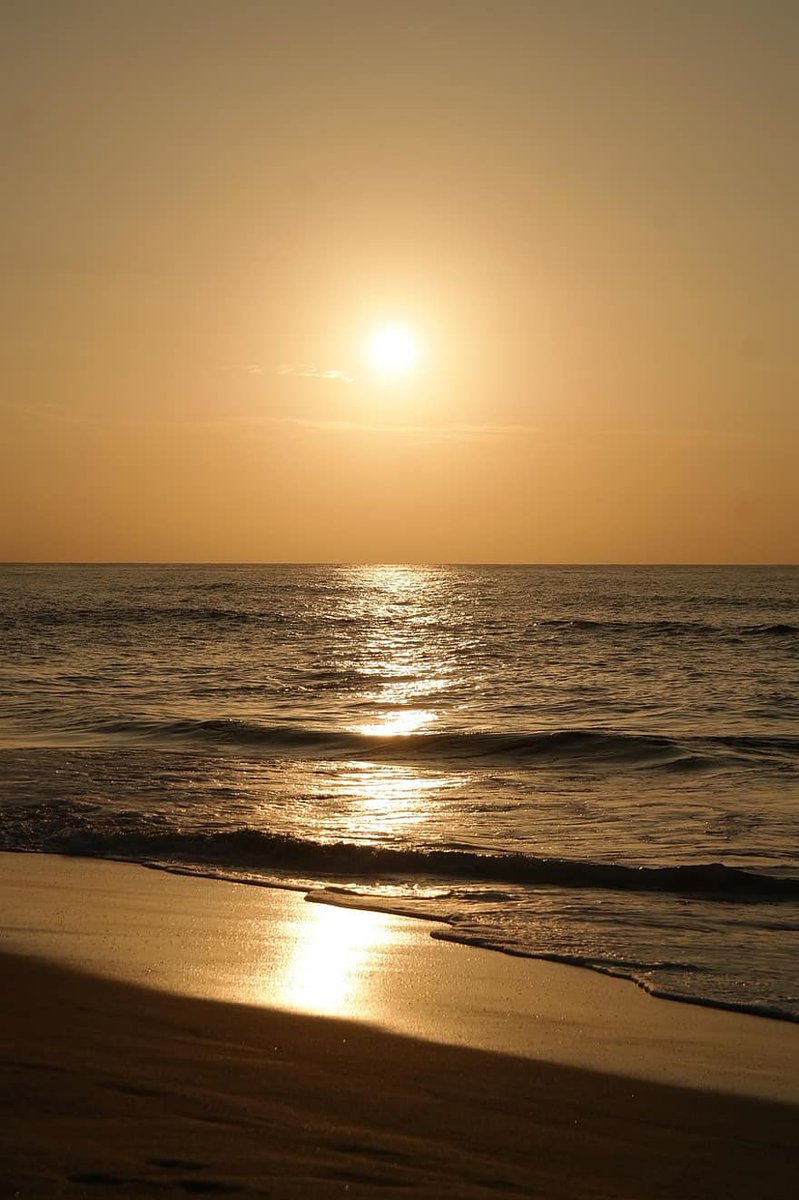 أ. مريم (@zain37kw) on Twitter photo 