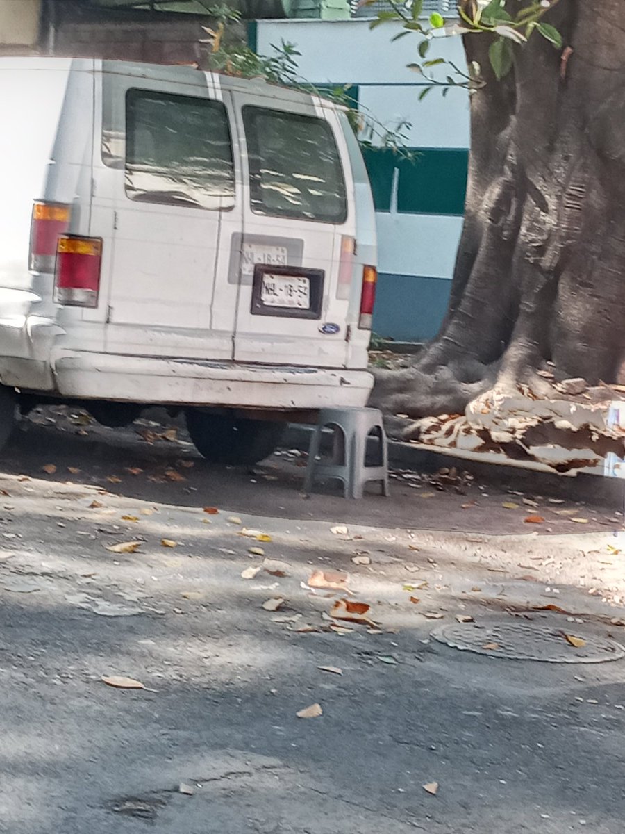 Marisun 🗳️🧮🚫🐭💩 tweet media