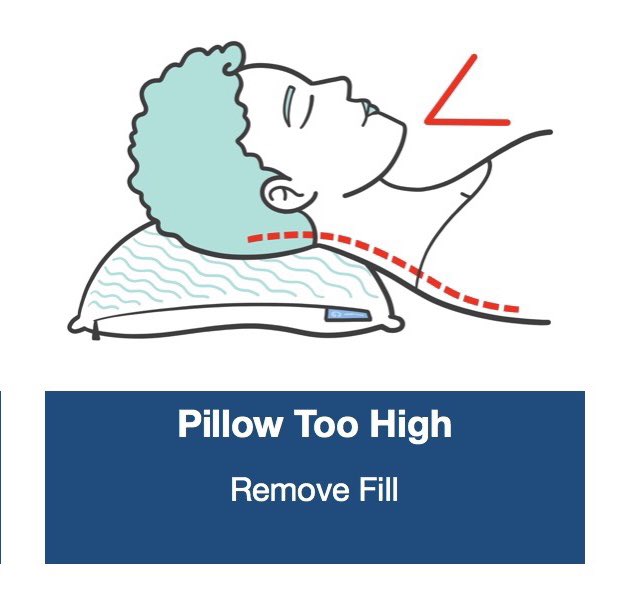 Is your pillow too high?
👉🏻EverPillow is fully adjustable and perfect for every body type and sleep style to give you perfect spinal alignment. 
.
.
.
#SpinalAlignment #SoreNeck #TooHigh #AdjustablePillow #CustomizablePillow #AdjustableLoft #BodyType #SleepStyle #BackSleeper