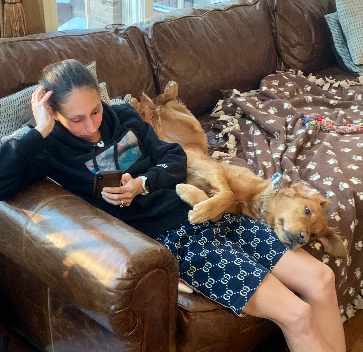 des_linden's tweet photo. No dogs on the furniture.
Fine, but only on the dog blanket.
OK, but no paws on the leather... 

Soon ... “Mind if I sit on your couch, Bos?” https://t.co/oqoYv6ZRCt