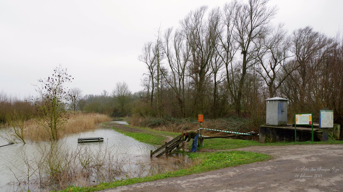 Avelingen 
06 februari 2021
(Mijnheer heeft ingestemt met de foto )