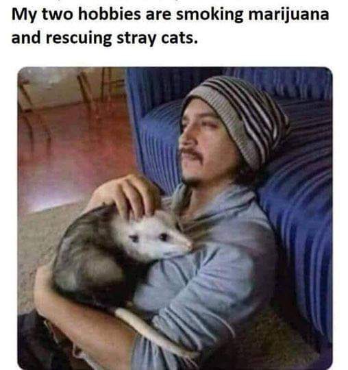EtkwFyjXUAIvIeA.jpg