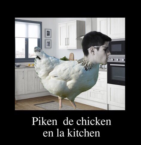 jordipugaa's tweet photo. Asi es mi amigo se llama Piken @geribermu https://t.co/YScBlXq5UX
