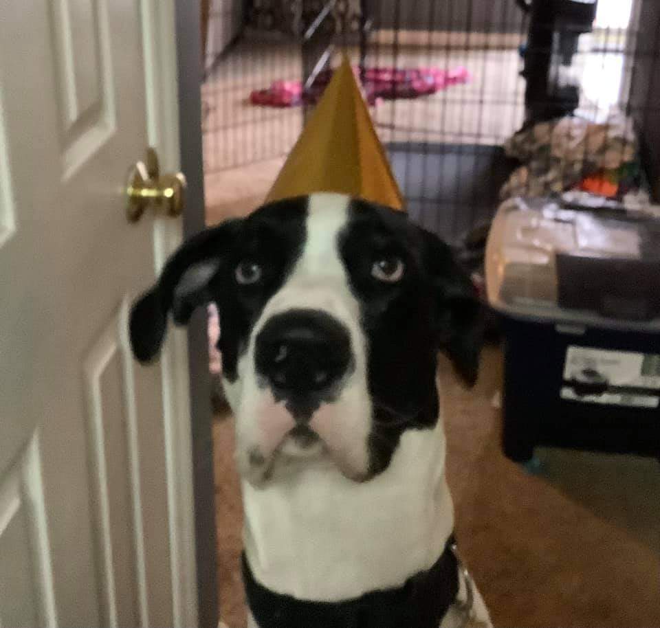 DaneMantle's tweet photo. Happy Birthday to me! https://t.co/EXQpE2JH4n