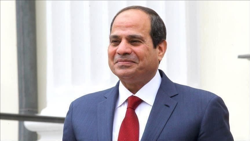 بوابة الوفد السيسي من يهاجم مصر يستهدف شعبها وليس شخص الرئيس