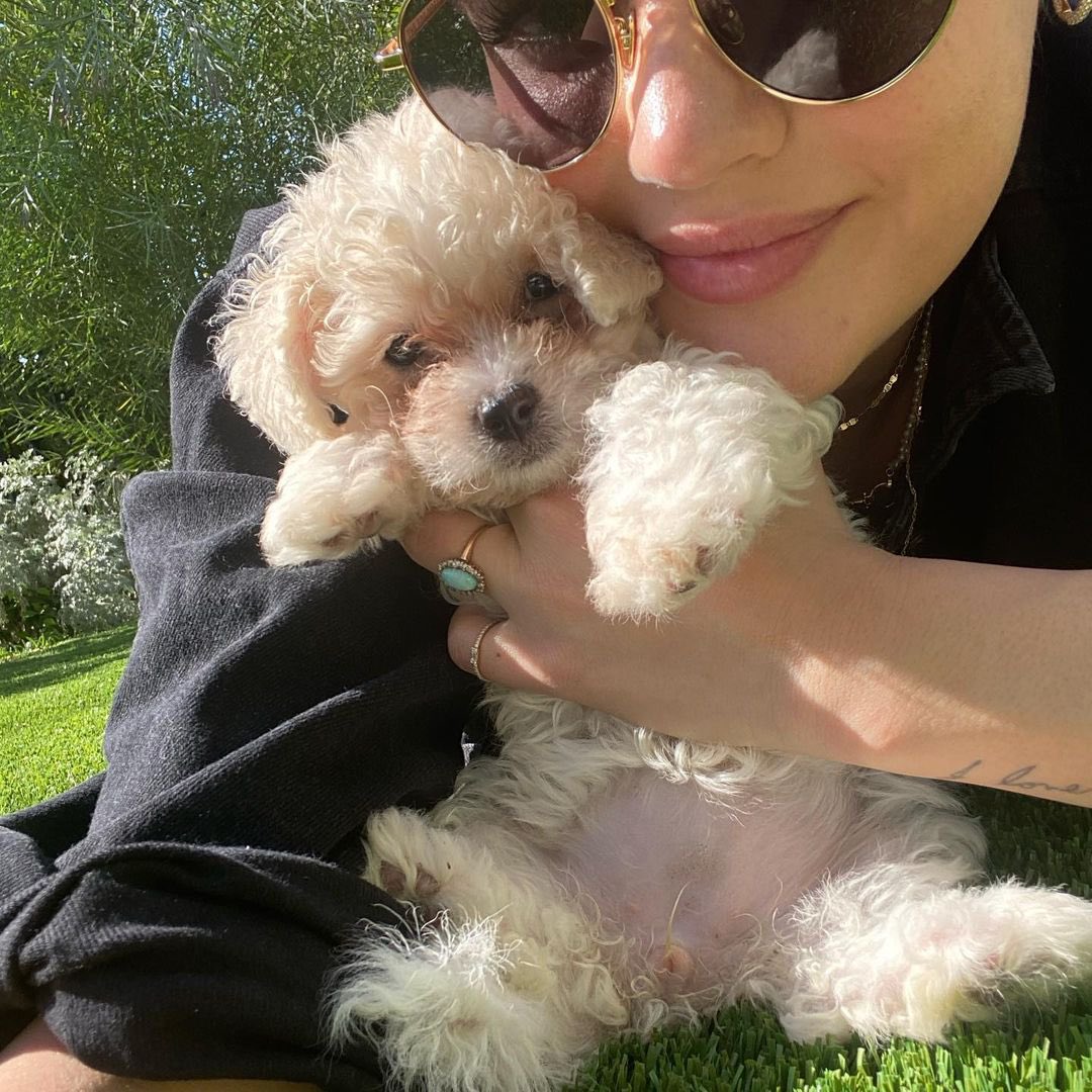 lucyhale's tweet photo. My little family of 3. Everyone meet Ethel. Thank you Melissa and everyone at #wagmorpets for rescuing her &amp; for all you do to find safe homes for these angels. 🐾♥️ https://t.co/nPJZ61WWiF
