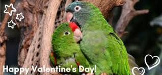 January 2021 Newsletter conta.cc/3cninvH