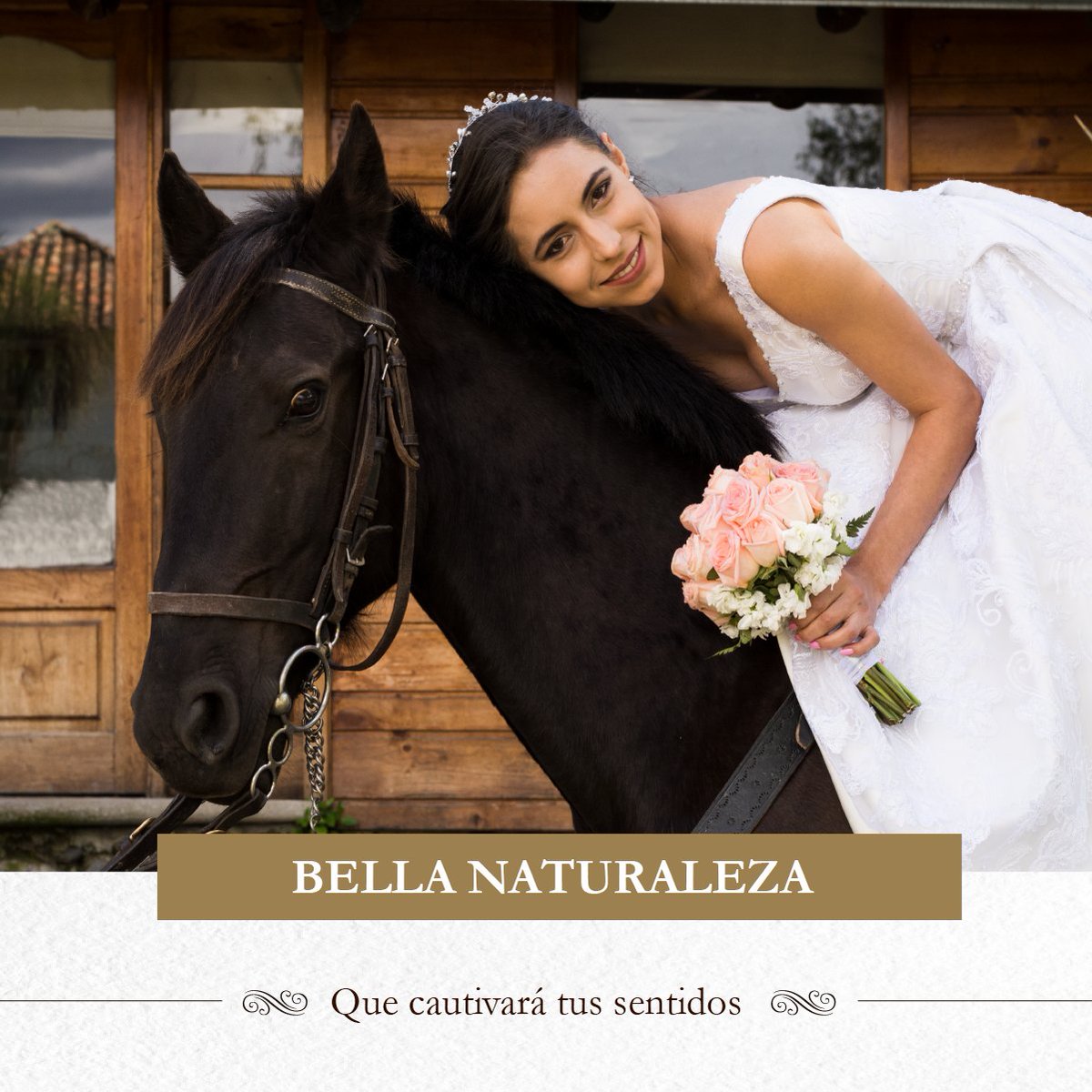 caballocampana's tweet photo. Todo cuanto soñabas y esperabas lo tienes en Hostería Caballo Campana @caballocampana. Somos organizadores de eventos especiales https://t.co/fYbcaUAstw