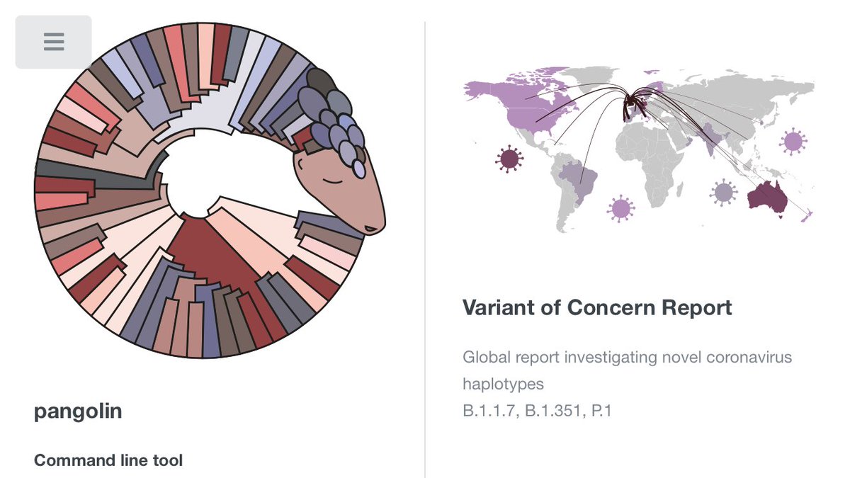 B.1.1.7... P.1... if you’ve seen these terms before, you know PANGO. It’s a dynamic SARS-CoV-2 nomenclature that evolves as the virus evolve. It’s my favourite system, maintained by  @AineToole  @viralverity  @DrEmilyScher and team: thank you for keeping track of so many variants 