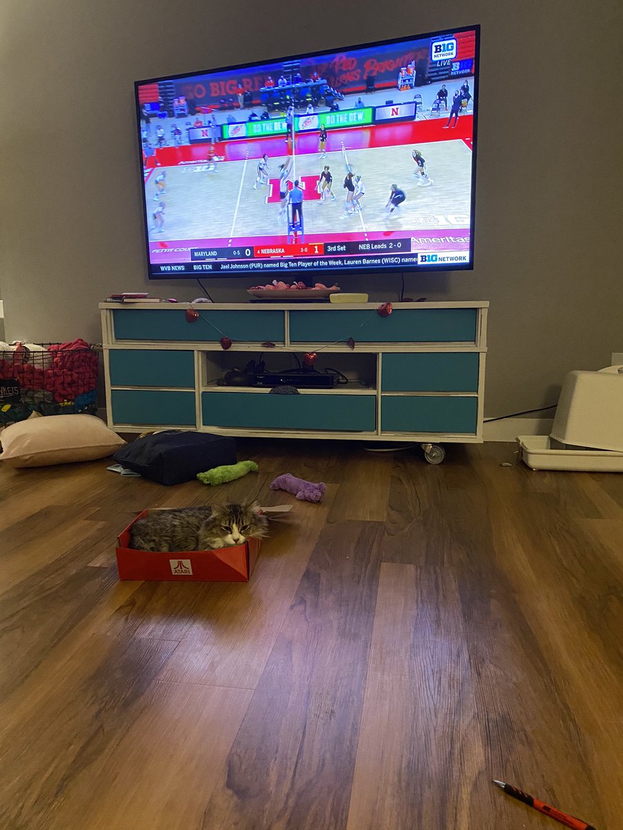 Addie Law tweet media