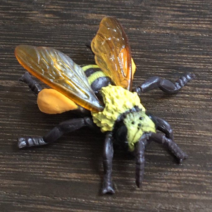 ハチの巣のtwitterイラスト検索結果 古い順