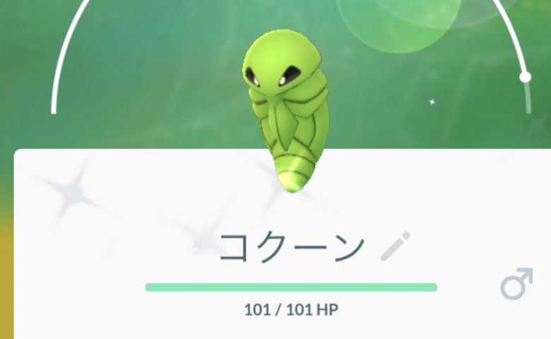 Mukuta コクーンの色違いだ Mukuta コクーンの色違いだ