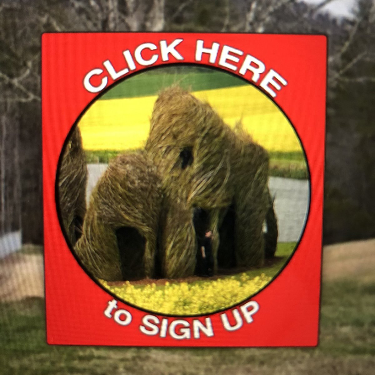 WNCSculpture's tweet photo. Sign up is live for helping out with Patrick Dougherty’s project in our sculpture park.
.
.
#wncsculpture #patrickdougherty #sculpture #wovensculpture https://t.co/K7vdCV5sqM