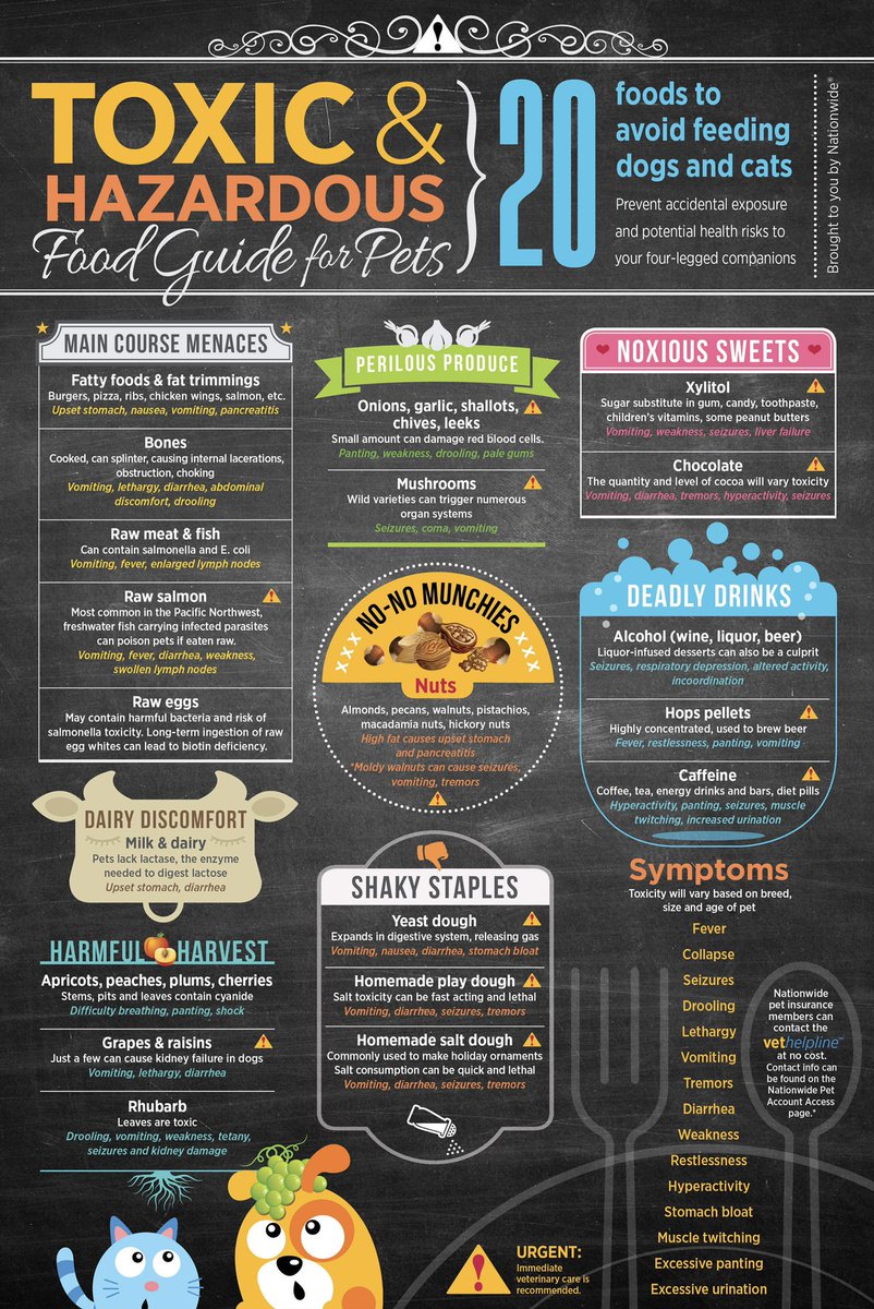 Citifido's tweet photo. As we tailgate tomorrow for the big game, please do your furry friends a favor and watch out for what they eat. While pizza may be tempting, it will be safer to grab stomach friendly treats instead. #riverdogbakery #shoplocal #puppybowl2021 #dogtreats #cattreats #nationwide https://t.co/jDPS9LMsAe