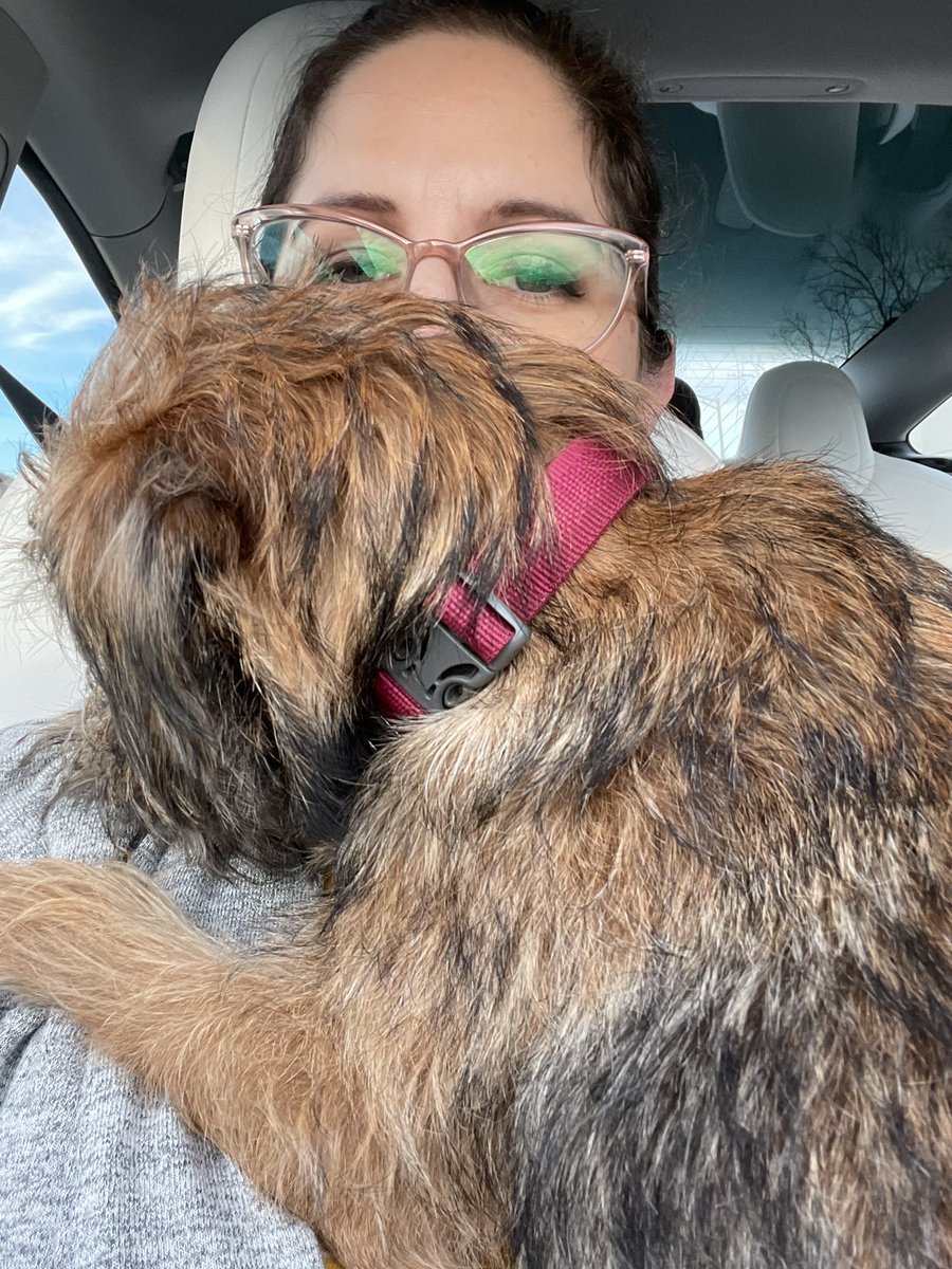 When you are eggsausaged from playing wif Grandpaw and want a car snooze in your favorite spot on hoomum but you grew and don’t fit! 💕