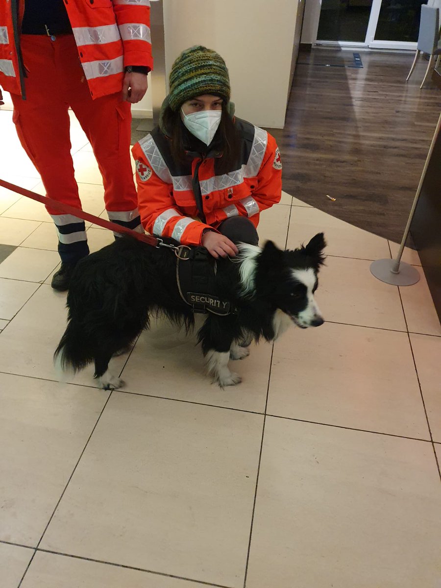 drk_szberlin's tweet photo. #Update zum aktuellen Einsatz:

Unsere Kräfte wurden wurden nun entlassen und machen sich langsam auf den Rückweg. 

Aber bei so einem niedlichen Hund kann der Feierabend noch ein kleines bisschen warten. 🐶😍

#DRK #Ehrenamt #AllForBerlin https://t.co/Uynzp8XYc2