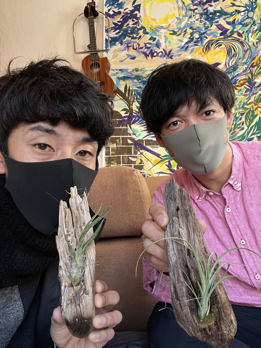 秀島史香 Fumika Hideshima ひゃーホントあっ という間でしたねーえ 作り方は Radiko タイムフリーでもう一度どうぞ T Co 9a1808fgkk Rt Kotatomasong 今朝は流木とエアプランツでオブジェ作りをしました 簡単だしシンプル でも素敵 秀島史香 Fumika Hideshima ひゃーホントあっ という間でしたねーえ 作り方は Radiko タイムフリーでもう一度どうぞ T Co 9a1808fgkk Rt Kotatomasong 今朝は流木とエアプランツでオブジェ作りをしました 簡単だしシンプル でも素敵