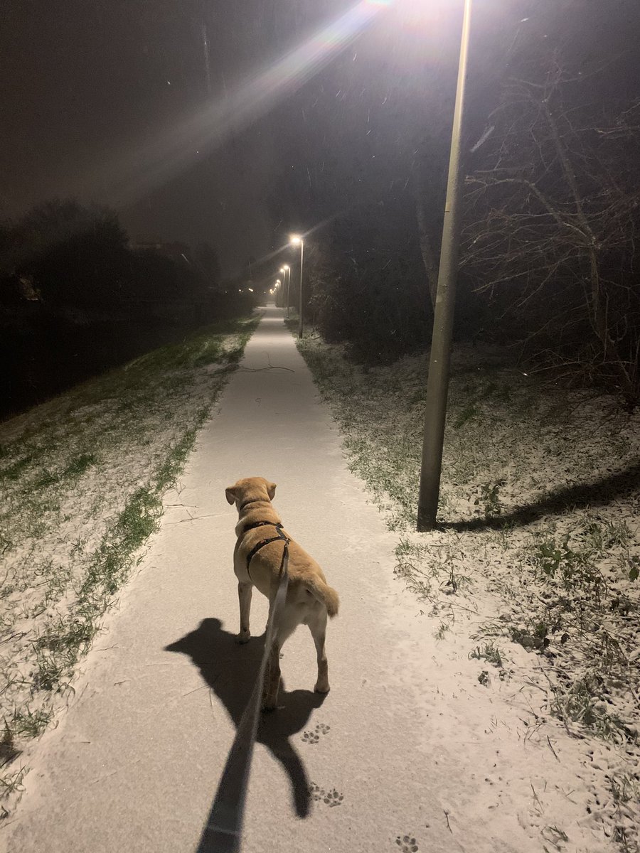 Westwijker's tweet photo. Even een testrondje doen voordat de échte sneeuw valt..... https://t.co/6PG2BGFtnb