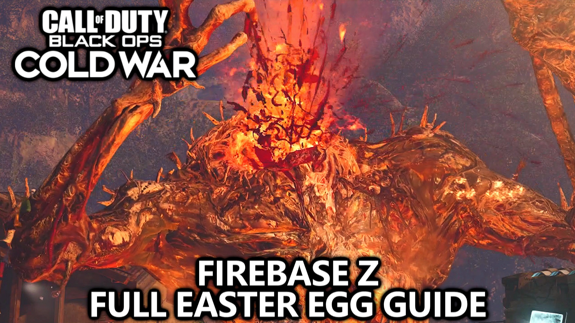 Patrick Maka on X: &ldquo;COD Cold War Firebase Z - FULL Easter Egg 