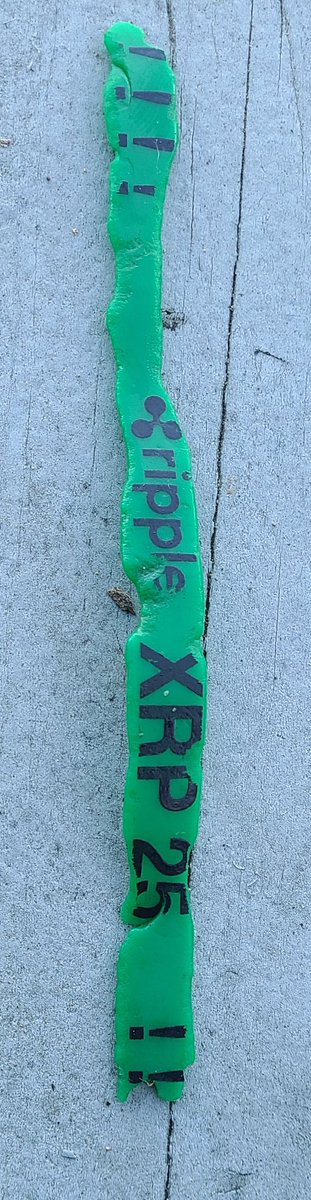 Years ago, XRP hitting 25 cents for the first time was an excuse for a party. Someone had wristbands made up to give out at the party. Today, my grandkids were walking along a beach and spotted a piece of green rubber floating. What are the odds?