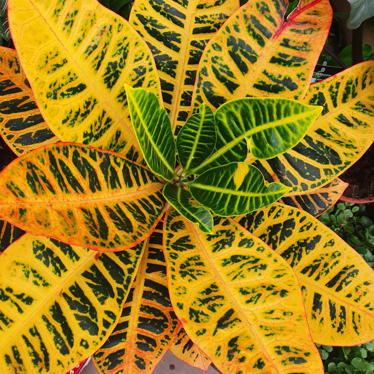 XquiMusic's tweet image. #NewProfilePic

#Ambients - new album available now (as recommended by @Bandcamp)