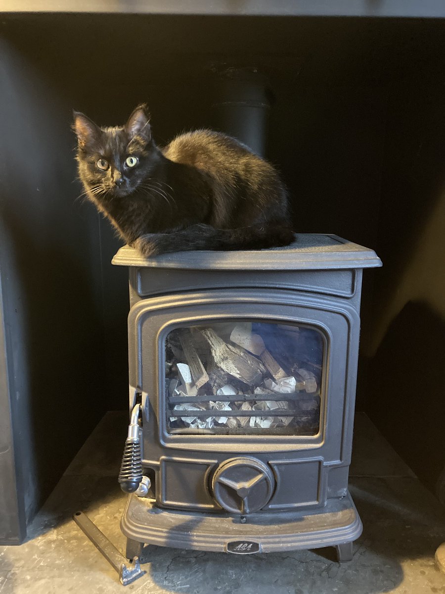 The rest of you can go home now. Midnight has arrived!  #topcatmodelchallenge