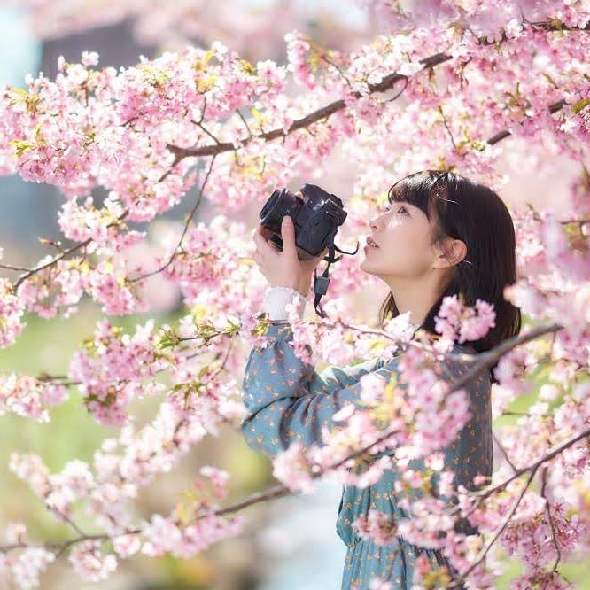 スナップモデル募集 Twitter Search Twitter スナップモデル募集 Twitter Search Twitter