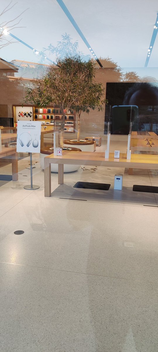 deidson's tweet photo. Dear @Apple, send someone to the Austin Domain store to water your trees... @AppleSupport https://t.co/tlr0cSIJXk