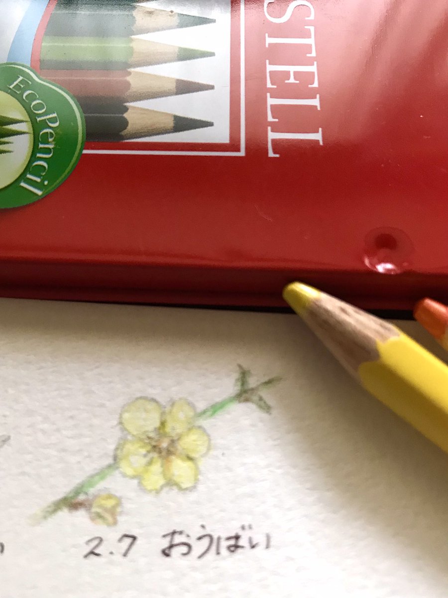 Twoucan 2月7日誕生日 の注目ツイート イラスト マンガ コスプレ モデル