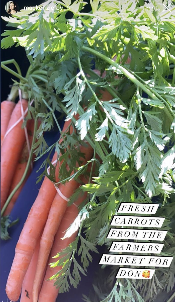 “Cenouras frescas do mercado de agricultores para Don 🥰” (📲 mackenziefoy stories)