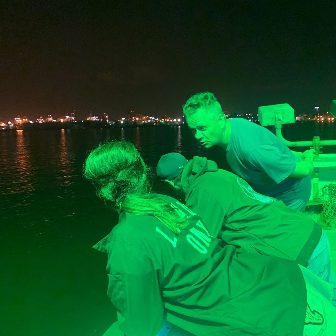 Fuck it I love you / The greatest