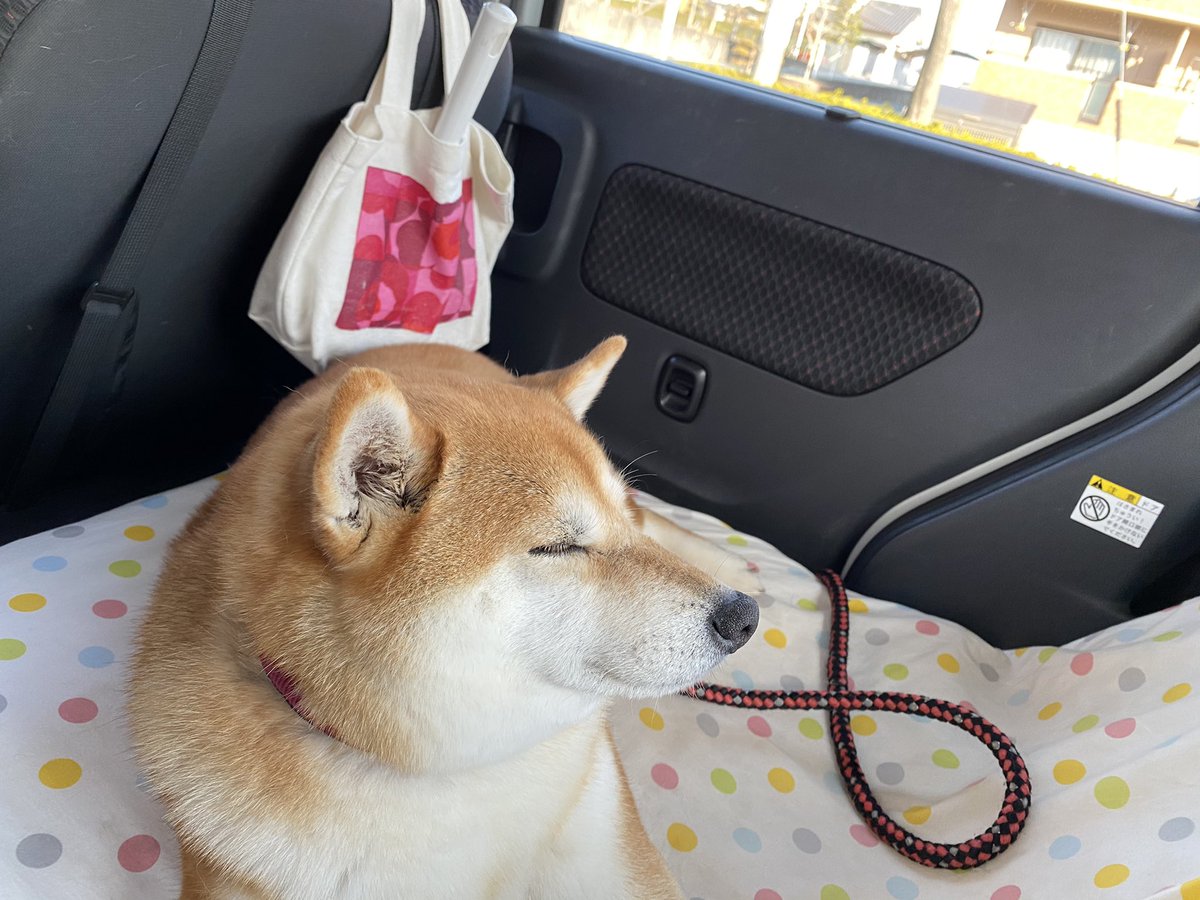 浜名湖ガーデンパーク