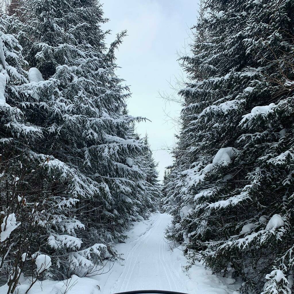 Ces belles journées d’hiver ❄️ Petite après-midi de motoneige 🌲🌳
.
.
.
#motoneige #quebec #abitibitemiscamingue #jaimeat #tourismeat #explorequebec #explorecanada #snowmobile #canada #snowmobiletrail #nature #snowyday #snowytrees #snowyforest #snowyn… instagr.am/p/CK-EjWbHRH4/