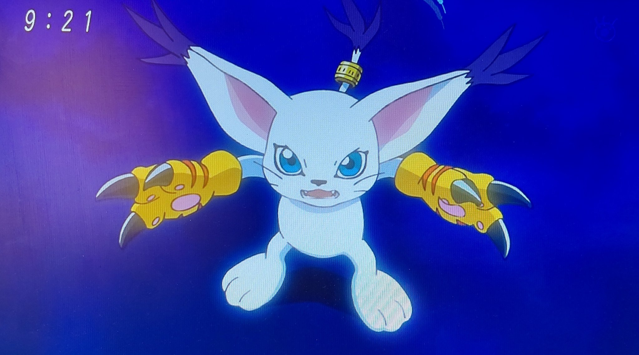 𝓨 そして今日はエンジェウーモン登場 テイルモンかわいい デジモン エンジェウーモン テイルモン Digimon 디지몬 엔젤우몬 가트몬 T Co Lb4sgp6rwc Twitter
