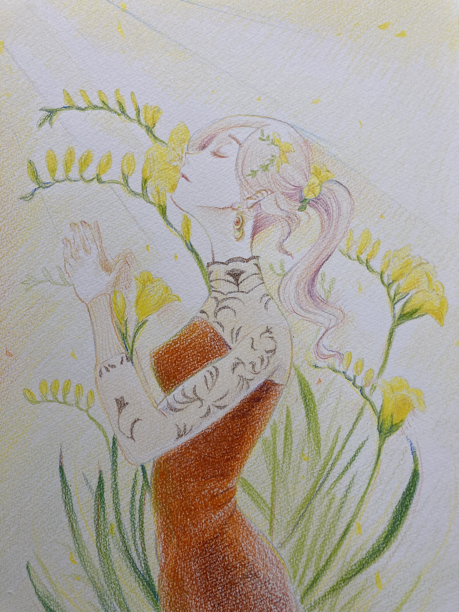 このあい 描き直しフリージア 花言葉イラスト 色鉛筆イラスト このあい 描き直しフリージア 花言葉イラスト 色鉛筆イラスト