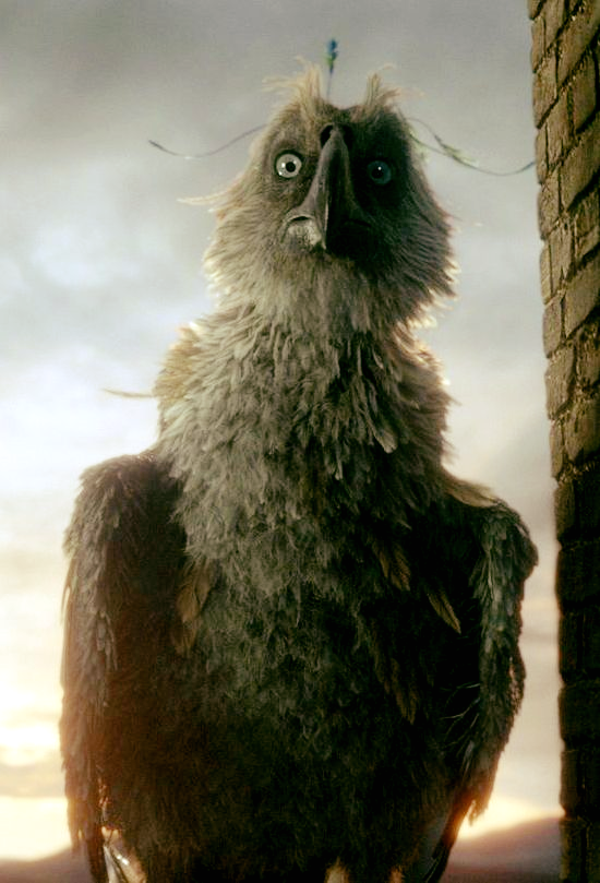 SpeakBeasty's tweet photo. If we could use one #Beastie to represent our feels on 2020, it would be this one purely for the expression π In this week's #NewtCase, we take a closer look at the #Augurey in all its wonder: https://t.co/XtBEuHHDmh
#SpeakBeasty #FantasticBeasts #NewtScamander https://t.co/QiKgipVkCR