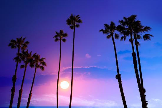🌴underneath the palm trees you can leave your worries .....

#ca #cali #california #colors #sunset #palmtrees #palms #sandiegolife #beach #naturepics #nature #scenery