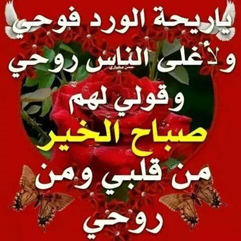 عمر (@apsachumymb2d40) on Twitter photo 