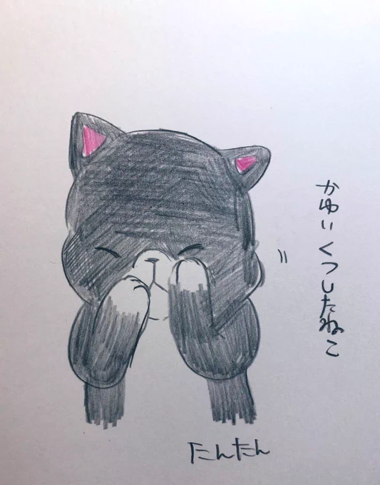 かゆいくつしたねこ

#イラスト #猫
#色鉛筆 