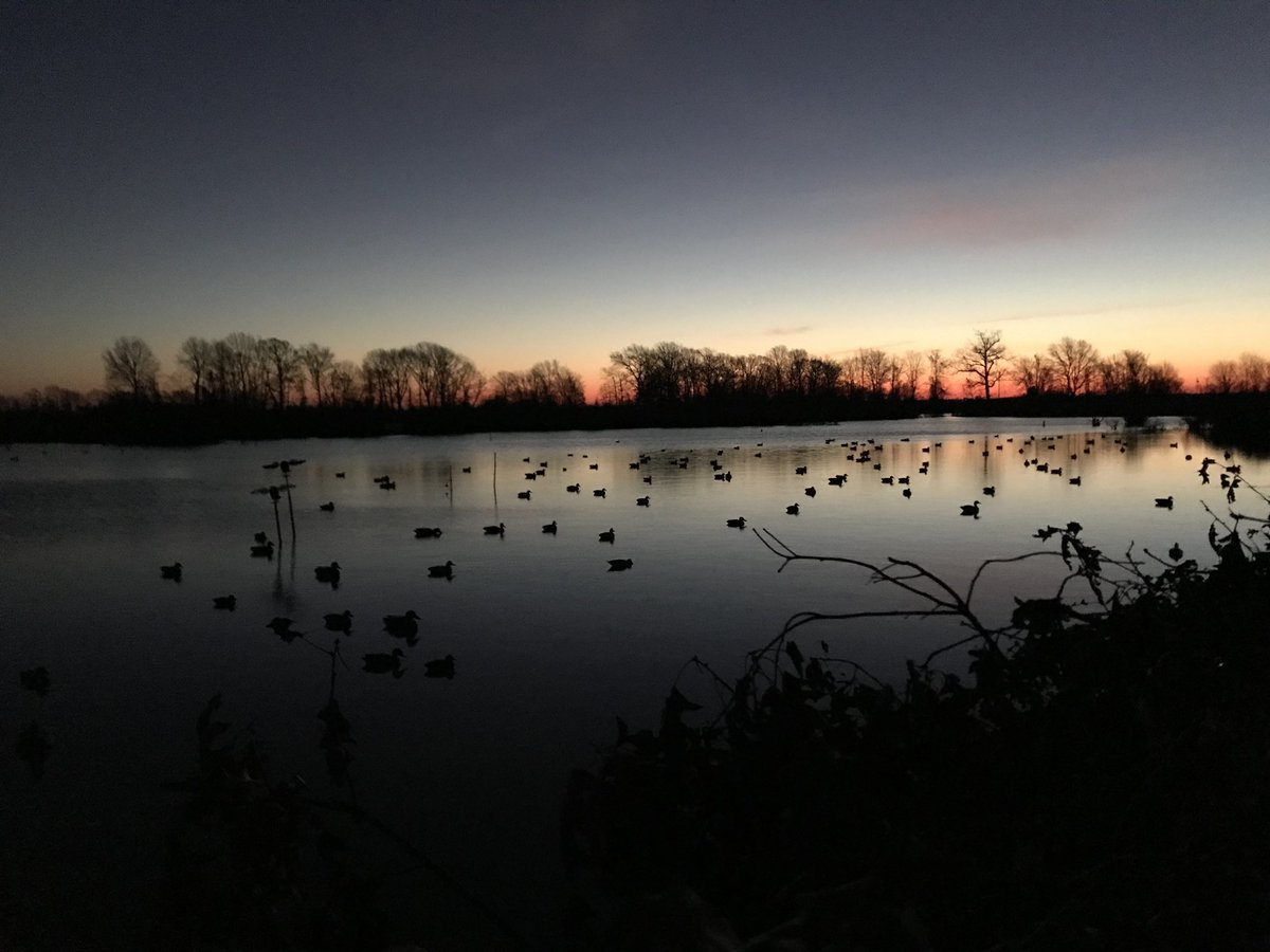 BigRedDuckmenSC's tweet photo. Had the privilege of visiting @mackspw and seeing what duck hunting is like at the duck capital. Definitely a SC boy’s dream. Can’t wait till next season. https://t.co/vlGwFrToou