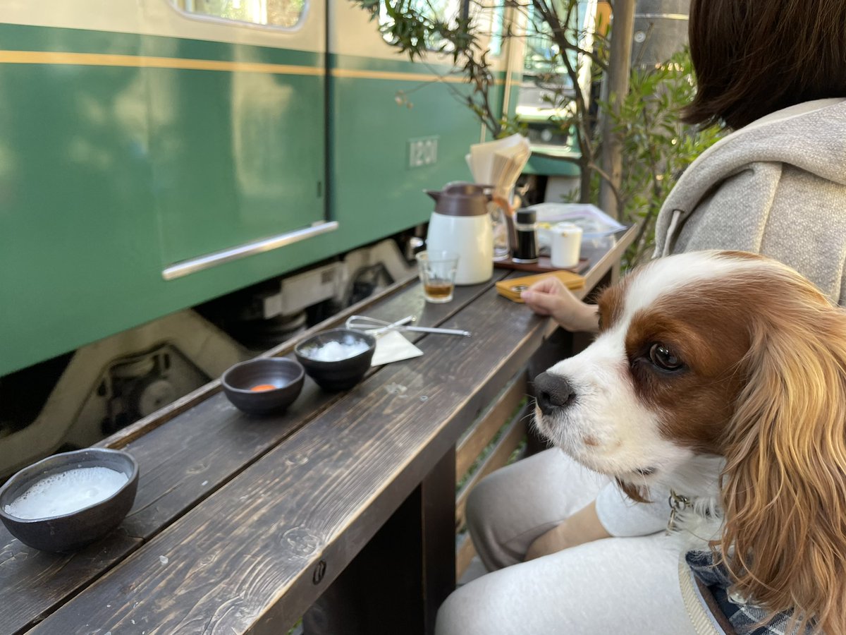 Inutabi 海辺と犬と ハイエース 江ノ電を見ながら朝ごはん 納豆も焼き魚もメレンゲ卵かけご飯も みんなおいしい 朝から幸せ キャンピングカー 車中泊 鎌倉 キャバリア 犬のいる暮らし