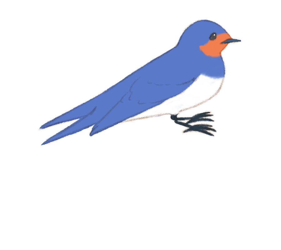 いろいろ ツバメ イラスト 無料イラスト画像