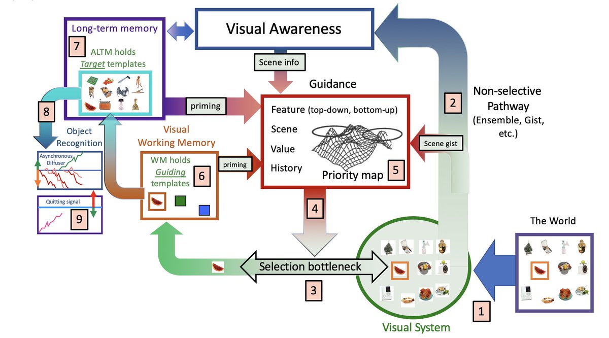 jeremymwolfe's tweet image. Guided Search 6.0 is now published: Available to answer your questions about visual search and/or to help you to a good night’s sleep: rdcu.be/ceRFq #GuidedSearch