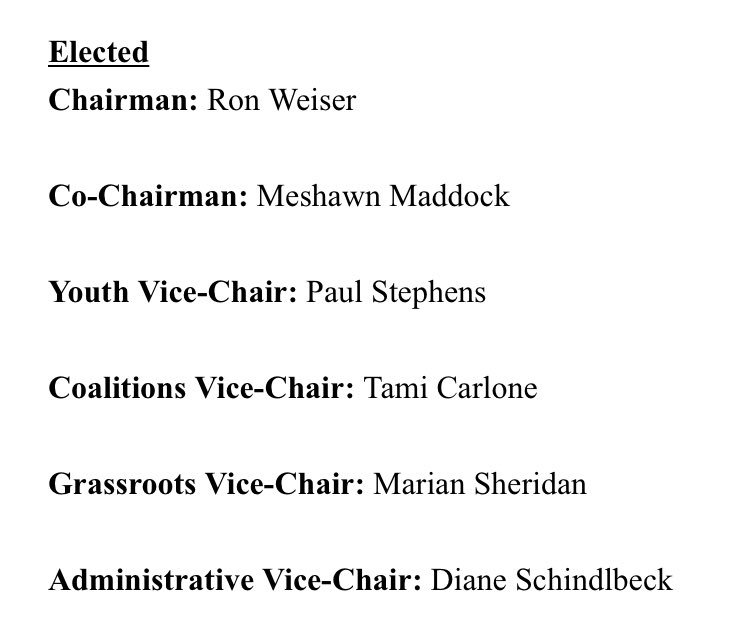CraigDMauger's tweet photo. Among those elected to Michigan GOP vice chair positions: Marian Sheridan, one of the plaintiffs in Sidney Powell’s Michigan suit https://t.co/6lGfpbPng8